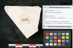 Foto (Objekt + Etikett) von Banksia ungeri Ettingshausen (NHMW-GEO-2024-0188-8145)